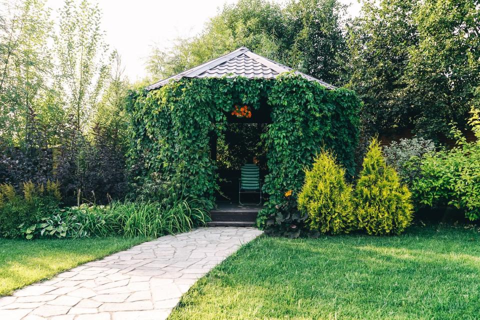 summer gazebo overgrown with green ivy and a stone path