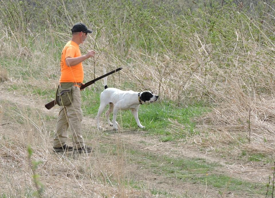 Randy Hilligus watches his dog Dutch on point during a field trial in Fayette County. 