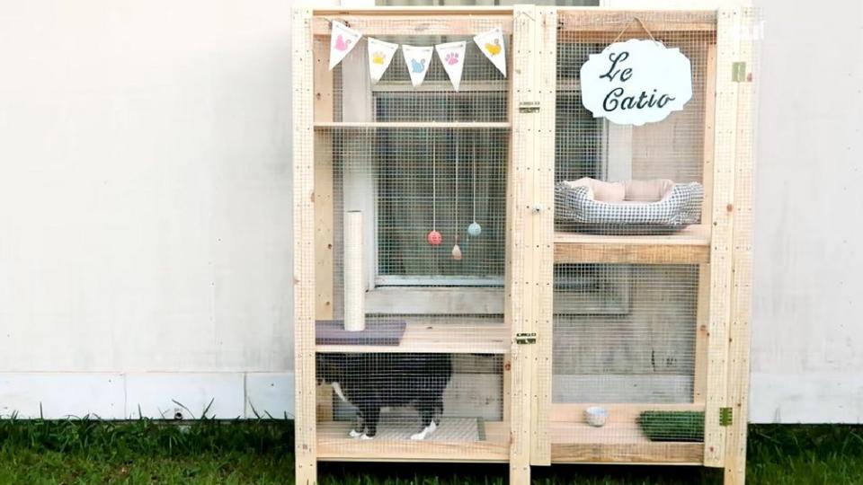 catio ideas