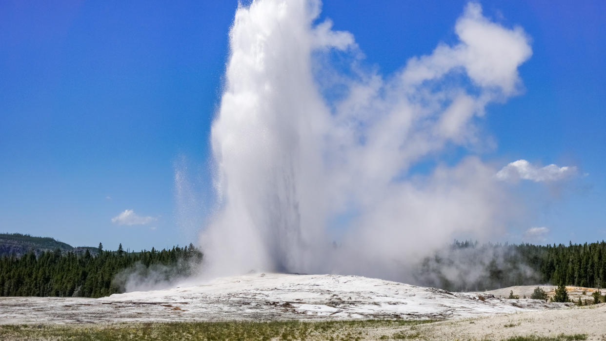  Old Faithful geyser at Yellowstone National Park, Wyoming, USA 