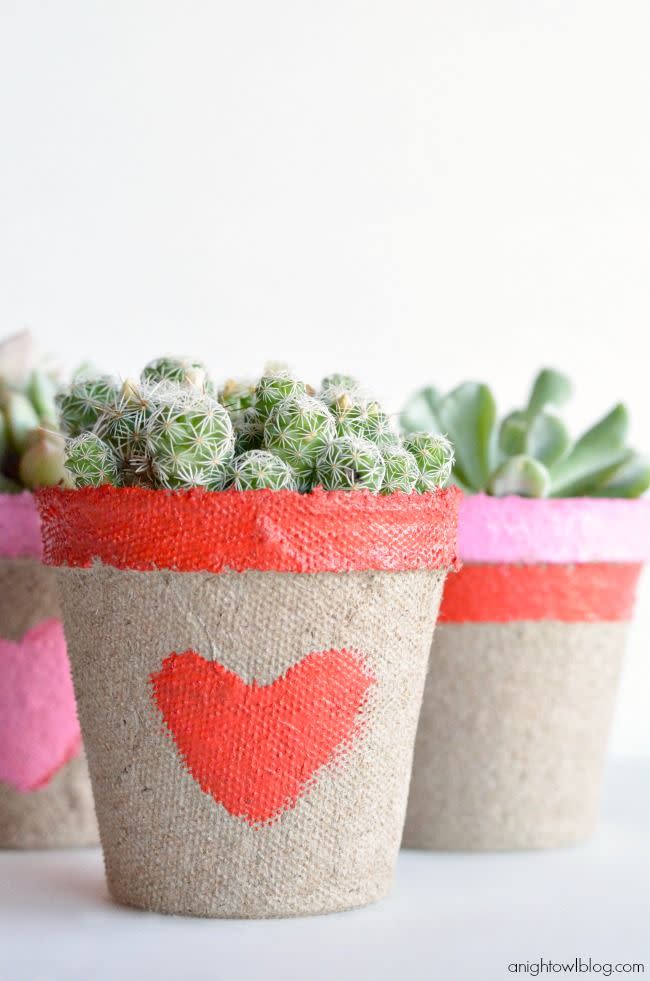 succulents with a planter featuring red and pink hearts