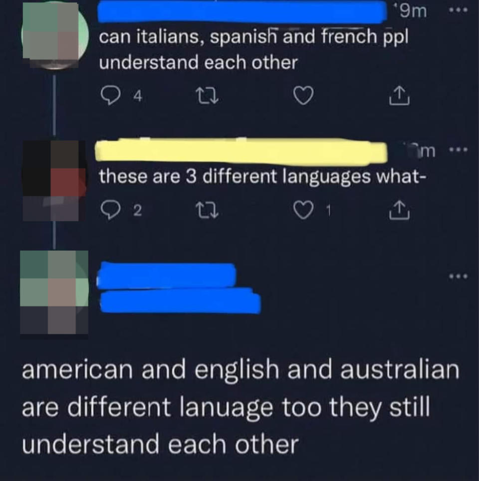 "Can Italians, Spanish, and French ppl understand each other," "these are 3 different languages," and "American and English and Australian are different language too they still understand each other"