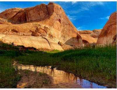 This side canyon emerged in recent years as Lake Powell shrank. The white ‘bathtub ring’ on the rock wall shows past water levels. Daniel Craig McCool, <a href="http://creativecommons.org/licenses/by-nd/4.0/" rel="nofollow noopener" target="_blank" data-ylk="slk:CC BY-ND;elm:context_link;itc:0;sec:content-canvas" class="link ">CC BY-ND</a>