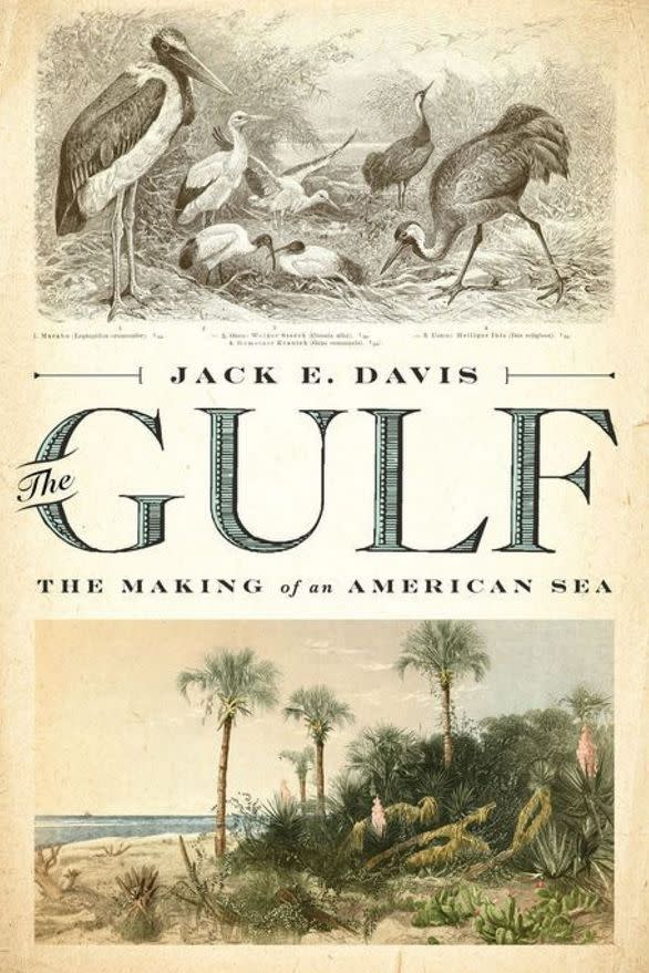 The Gulf: The Making of an American Sea by Jack E. Davis