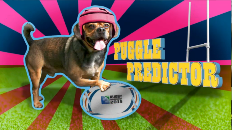 World Rugby's Maverick takes on the puggle predictor as New Zealand line up against Namibia