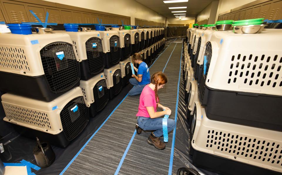 Marion County Animal Control Officers Sydney Watson, left, and Faith Ballard, right, place waste bags on the front of 55 kennels set up for dogs at Lake Weir High School Tuesday morning.