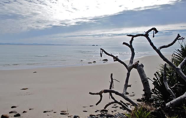 Byron has an array of beautiful beaches to choose from. Photo: Paul Ewart