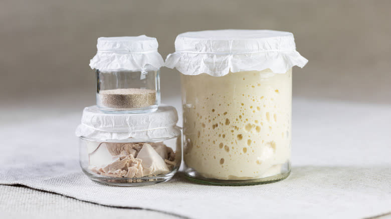 jars of various yeast types