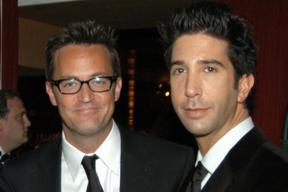 <p>Jeff Kravitz/FilmMagic</p> Matthew Perry and David Schwimmer at the Primetime Emmy Awards in 2003