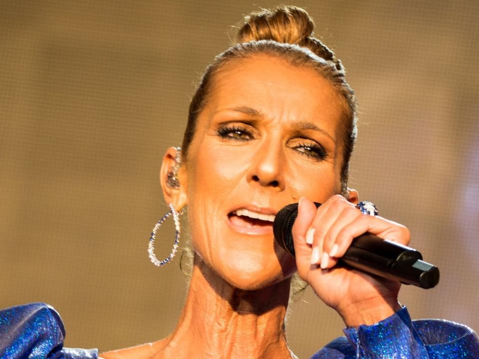 Céline Dion kann momentan nicht auftreten. (Bild: Tom Rose/Shutterstock.com)