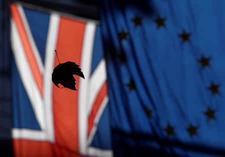 A leaf falls from a tree in front of EU and Union flags in London, Britain, November 13, 2018. REUTERS/Toby Melville