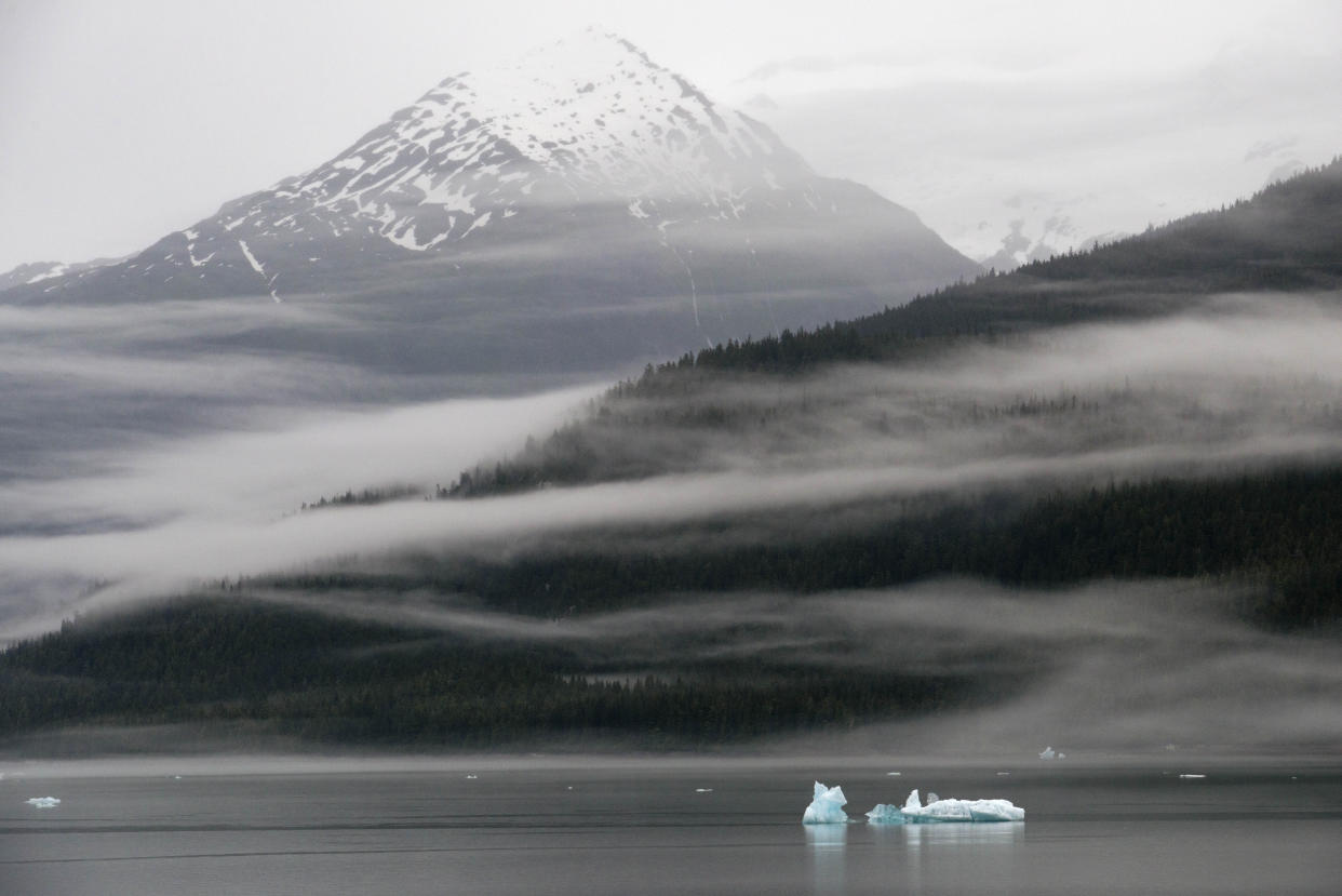 Icebergs near the Dawes Glacier in Tongass National Forest, Alaska. (Photo: VW Pics via Getty Images)