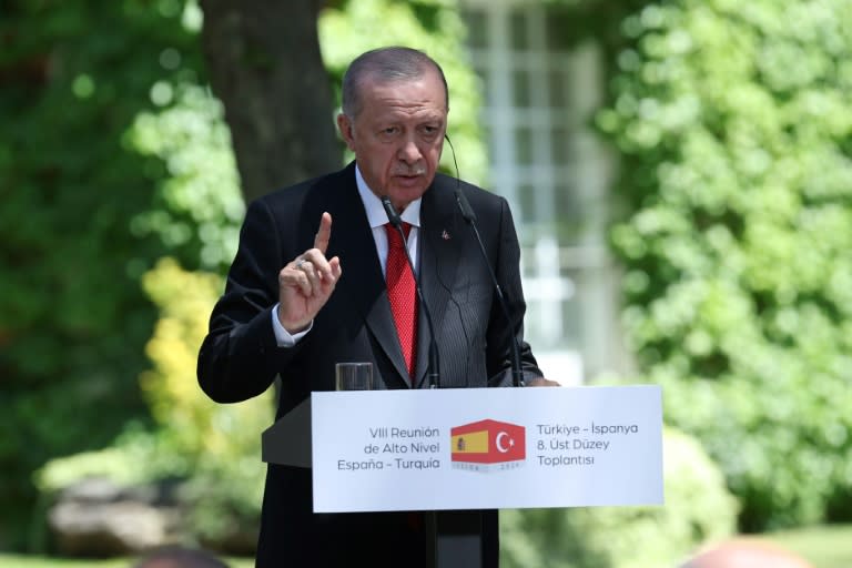 El presidente de Turquía, Recep Tayyip Erdogan, el 13 de junio de 2024 en el Palacio de La Moncloa, en Madrid (Pierre-Philippe Marcou)