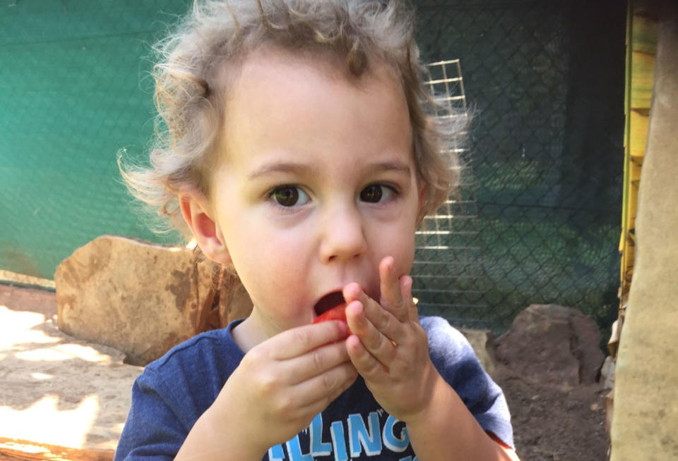 Logan Grieve, 2, was playing in the backyard of his family home in Katherine, Northern Territory, when he was mauled by his family's Bull Mastiff cross. Source: Supplied/ Shannon Coutts