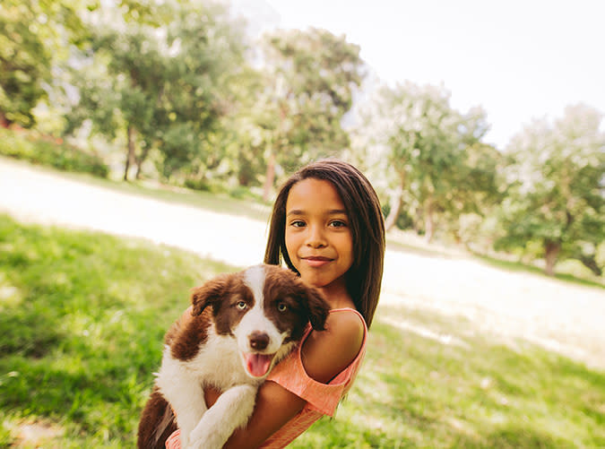 The Very Best Kid-Friendly Dogs for Your Growing Family