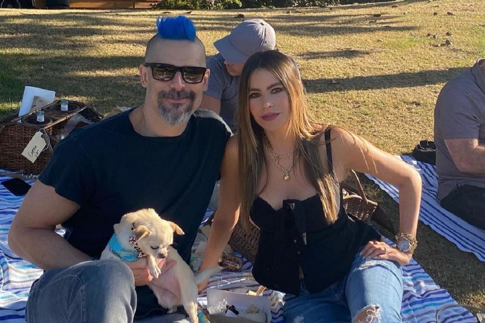 Sofia Vergara y Joe Manganiello celebraron el 22 de noviembre su quinto aniversario de boda. Para conmemorar su enlace hicieron un picnic en familia un día después. (Foto: Instagram / <a href="https://www.instagram.com/p/CH6l7jFlvwM/" rel="nofollow noopener" target="_blank" data-ylk="slk:@sofiavergara;elm:context_link;itc:0;sec:content-canvas" class="link ">@sofiavergara</a>)