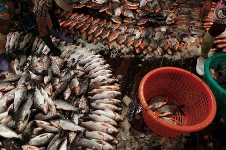 Fish are seen at San Pya fish market in Yangon, Myanmar February 15, 2016. REUTERS/Soe Zeya Tun