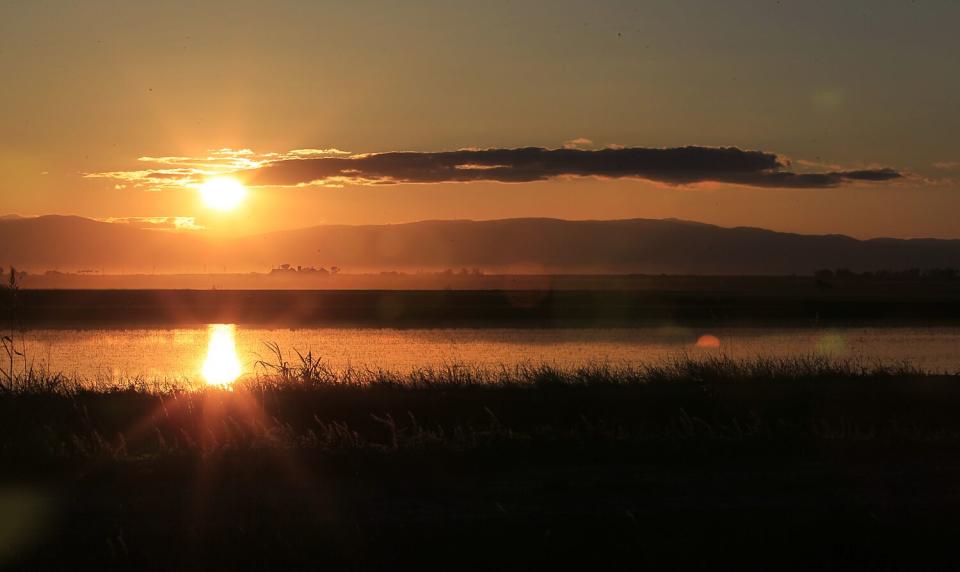 The sun sets over a flooded rice field in the Sacramento Valley.