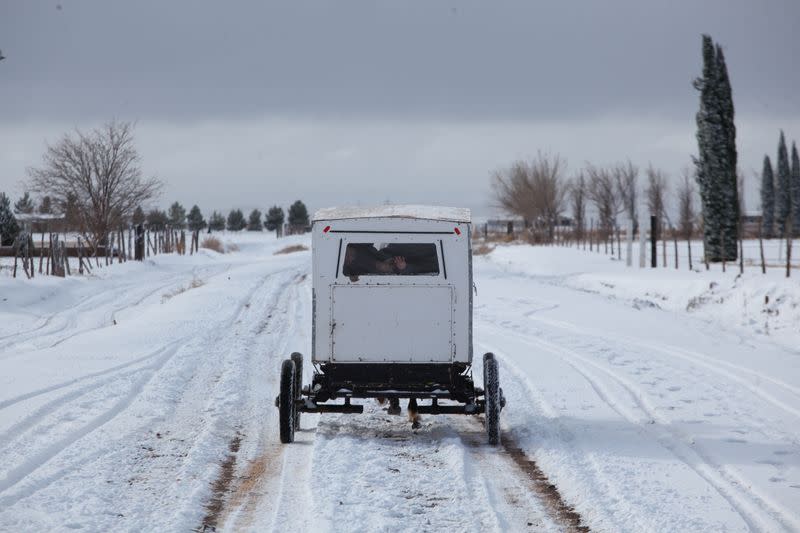 The Wider Image: In Mexico, a decade of images shows Mennonites' traditions frozen in time