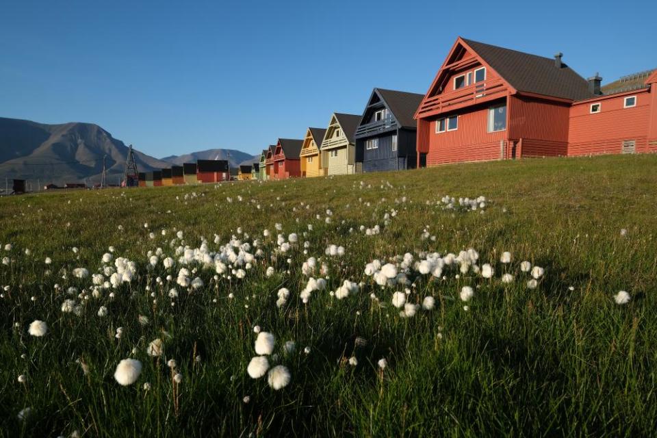 This summer saw a heatwave in the Svalbard archipelago, Longyearbyen, Norway. Global warming has had a dramatic impact on Svalbard, including a rise in average winter temperatures of 10C over the past 30 years, causing disruption to the local ecosystem.