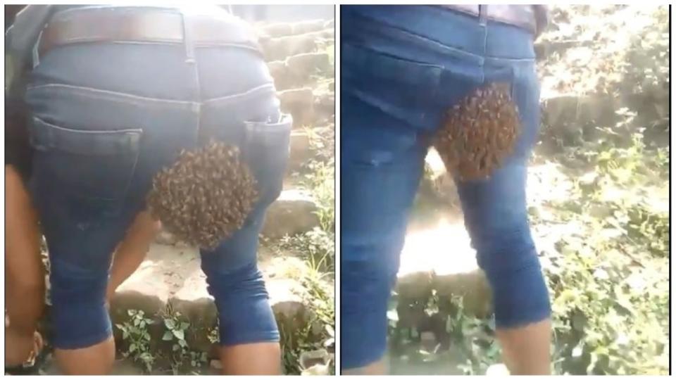 男子的翹臀被女王蜂看上，吸引蜂群來築巢。(圖／翻攝自推特)