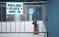 A dog is pictured outside a polling station in Glasgow, Scotland, on May 7, 2015, as Britain holds a general election