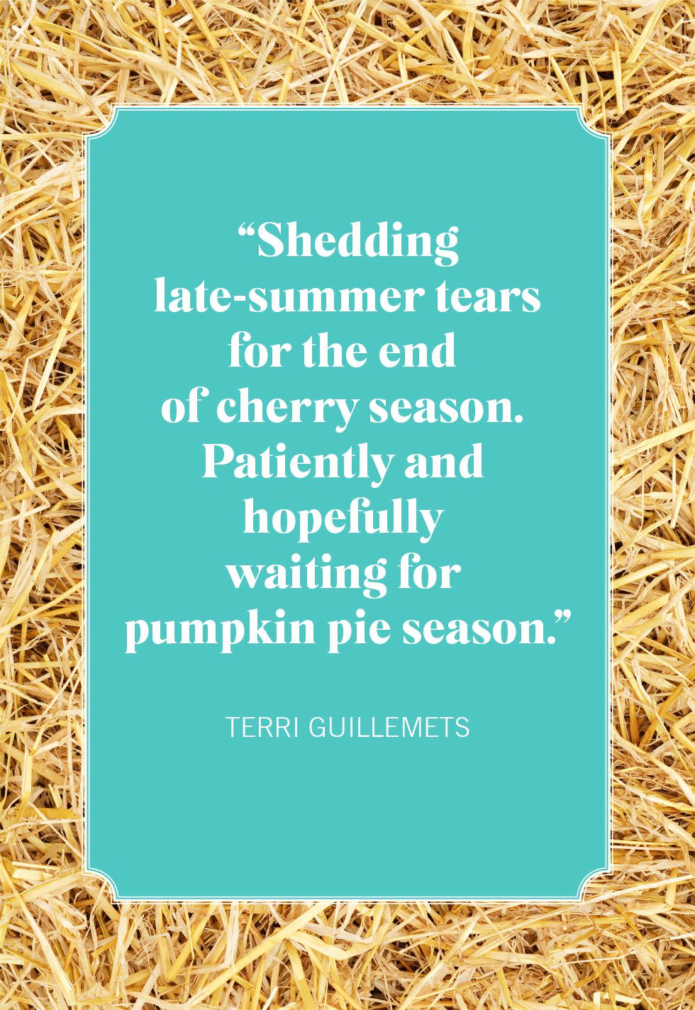 pumpkin quotes terri guillemets