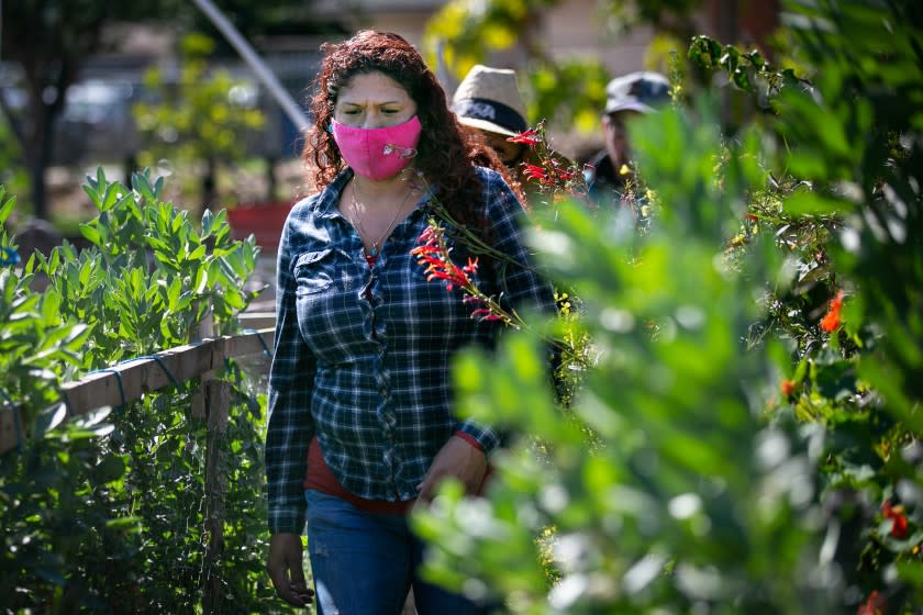 EL MONTE, CA - FEBRUARY 17: Lucia Nunez, Lead Volunteer, at La Madera Community Garden walks through the garden on Wednesday, Feb. 17, 2021 in El Monte, CA. (Jason Armond / Los Angeles Times)