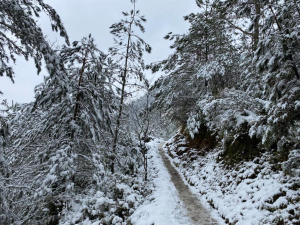 Yushan was seen covered in snow (Courtesy of Sabrina Lee)