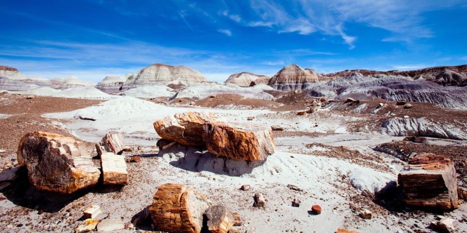 Petrified Forest National Park — Arizona