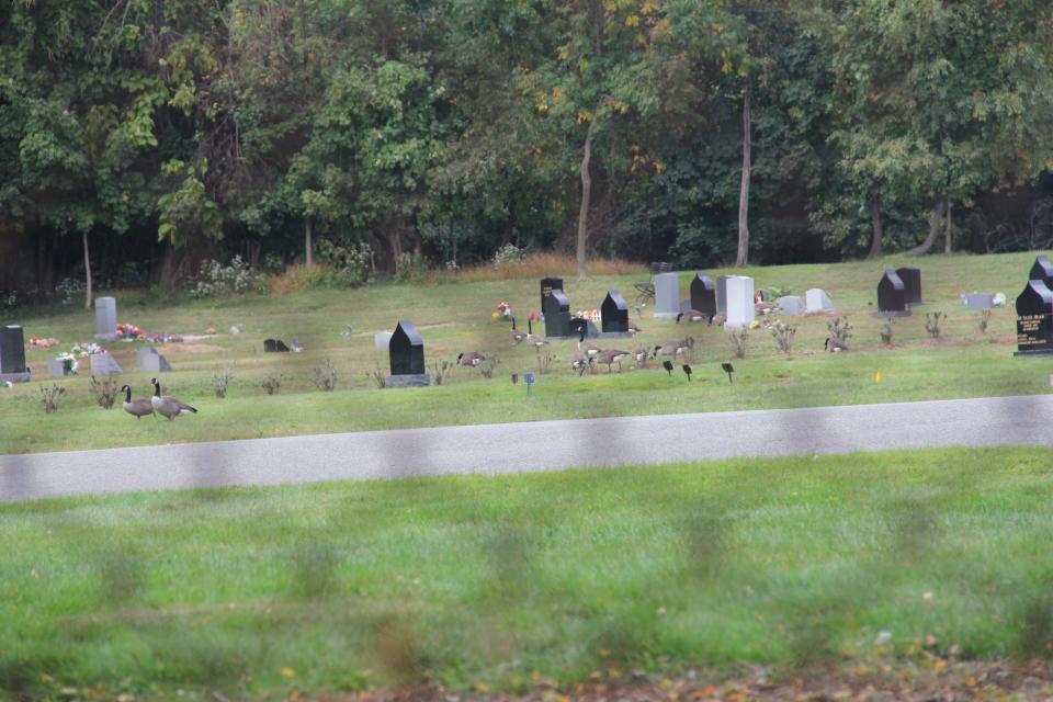 A cemetery viewed through a fence.