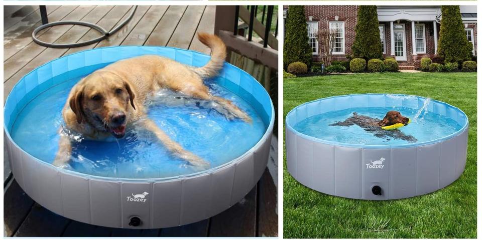 Buster needs to chill out—save 40 percent on the Toozey foldable dog pool. (Photo: Amazon)