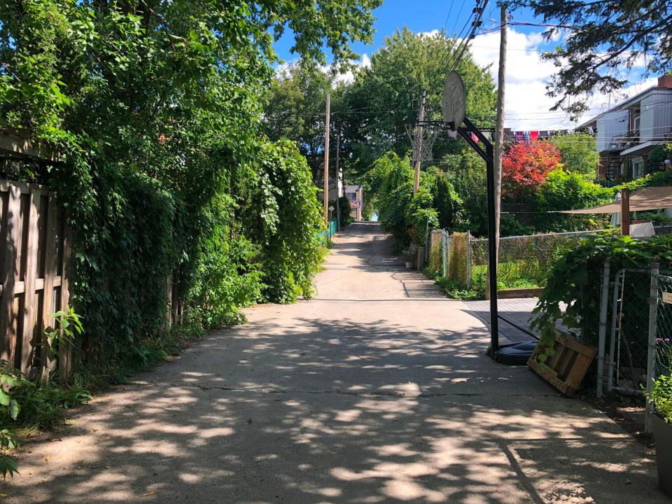 Lush greenery is seen along a narrow residential alley.