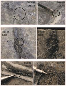 Photos of Visible Gold in 2021 Diamond Drill Holes