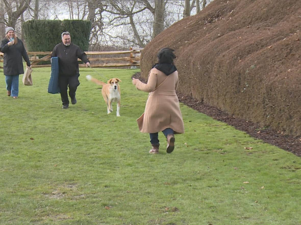 Freshta Siddiqui and her dog Lucky, a three-year old Anatolian shepherd, ran to each other as they were reunited for the first time in over a year Saturday.  (Janella Hamilton/CBC - image credit)