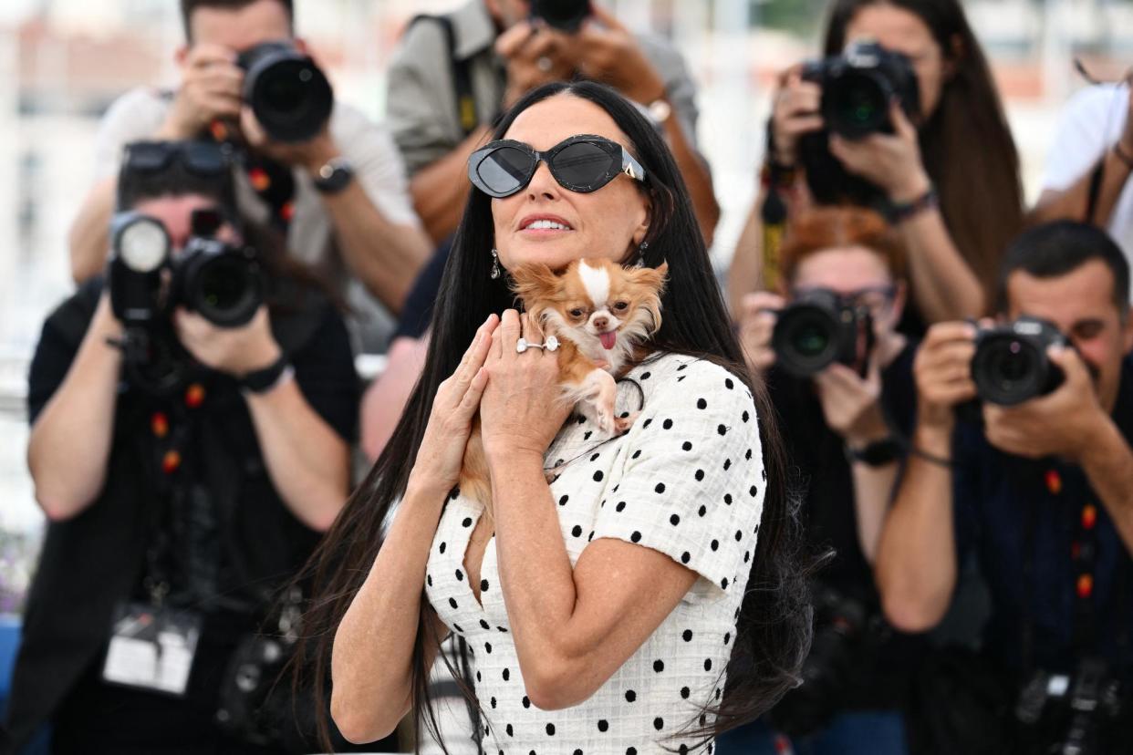 <span>Demi Moore at Cannes with her dog, Pilaf, who has also attended fashion week.</span><span>Photograph: Christophe Simon/AFP/Getty</span>