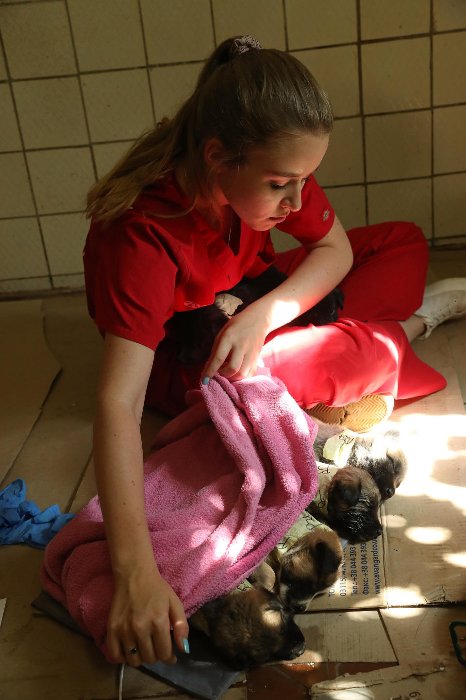 Nastya Grabchuk, a Ukrainian medical student volunteering with the Dogs of Chernobyl initiative, tends to stray puppies recovering from a sedative after surgery and vaccinations at a makeshift veterinary clinic inside the Chernobyl exclusion zone on August 17, 2017.