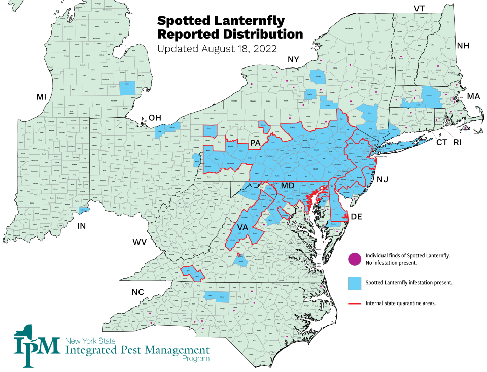 A map showing which states the invasive spotted lanternfly has spread to, put together by the New York State Integrated Pest Management Program.<span class="copyright">Cornell IPM Program, Jody Benedict</span>