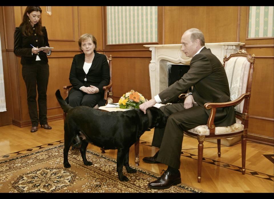 Putin gets an unexpected visited from his dog, Koni, during a meeting with German Chancellor Angela Merkel at the Bocharov Ruchei residence in Sochi, Russia, on Jan. 21, 2007.