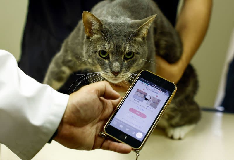Nihon University professor Kazuya Edamura uses 'CatsMe!', an AI-driven smartphone application, at Nihon University Animal Medical Center in Fujisawa