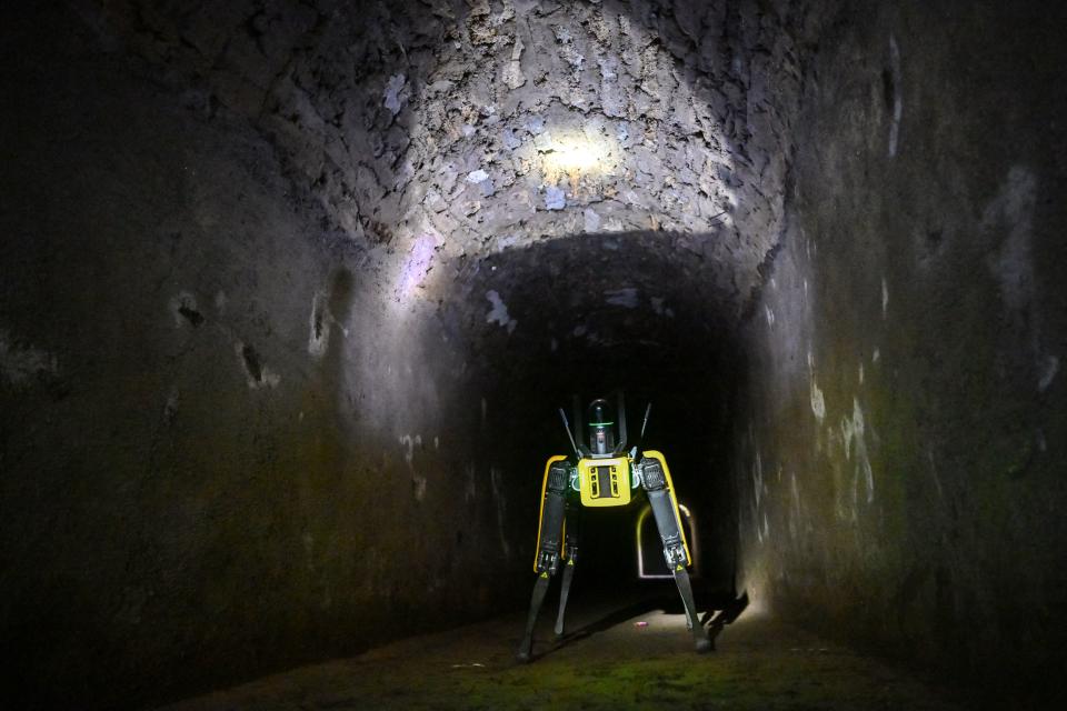 <p>El robot, que tiene un precio de 75.000 dólares (unos 71.000 euros), estará por el momento a prueba en Pompeya durante un tiempo y luego se decidirá si continúa o no. (Foto: Andreas Solaro / AFP / Getty Images).</p> 