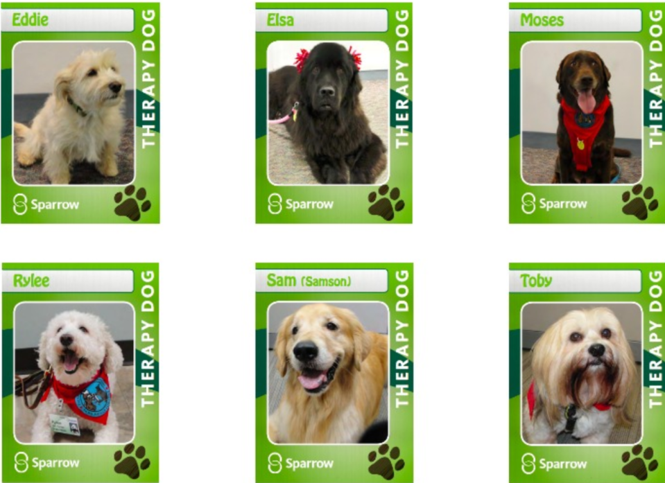 Sparrow Hospital's therapy dogs each have their own "trading" card. Eddie, who has retired after 13 years, is at top left.