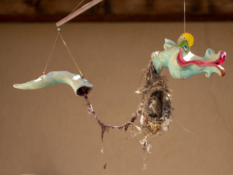 A female sunbird in a dragon decoration. Be'er Ora, Israel.