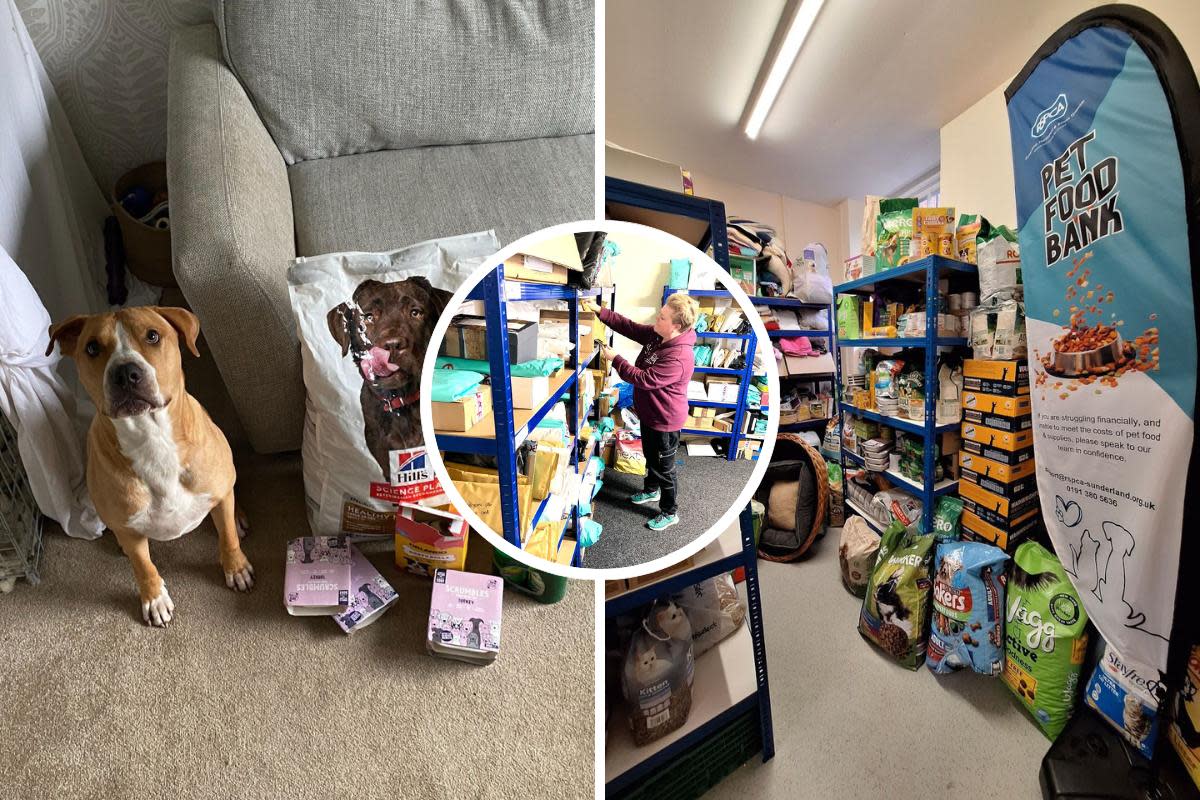 Over 50 pets have received parcels of food from the Community Hub, based in Chester-le-Street, so far this year and numbers are increasing because of the rising cost of living <i>(Image: RSPCA)</i>