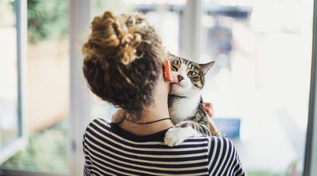 8 Things Your Cat Loves  