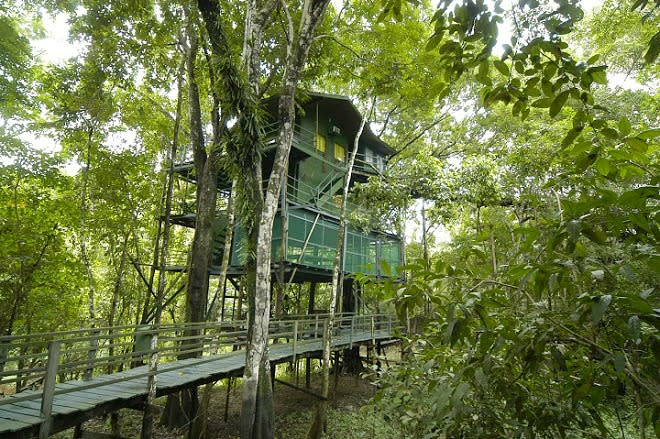 Ariau Amazon Towers Hotel: Widely regarded as the world’s largest treetop hotel, this eco-conscious resort sits high within the lush foliage of the Amazon rainforest.
