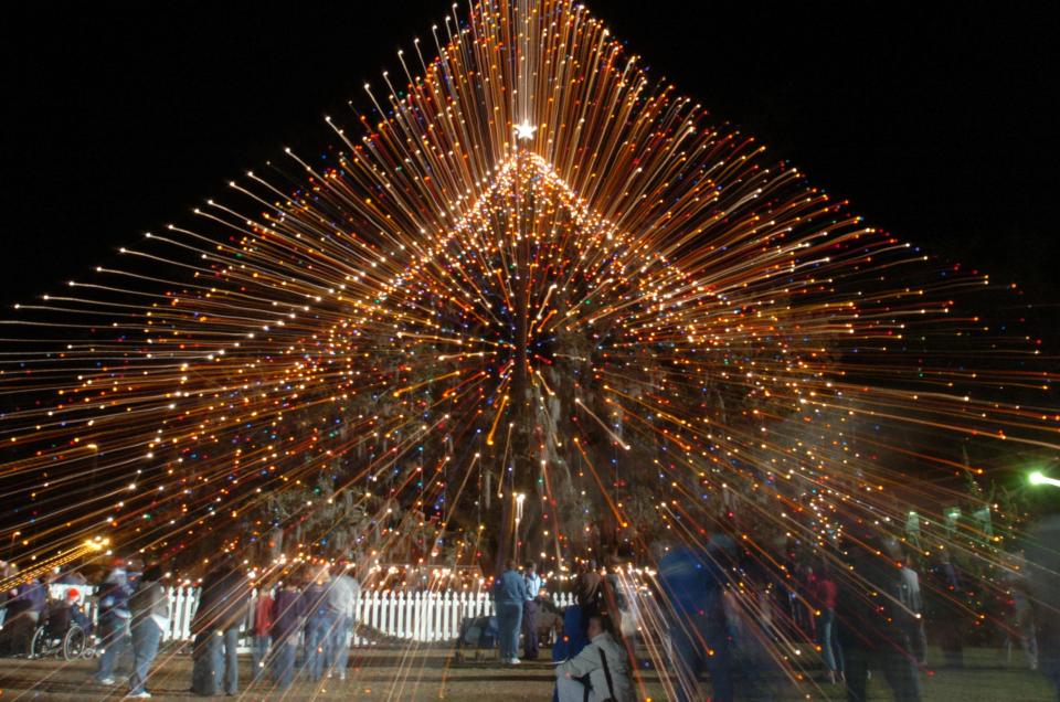 Spectators linger after the lighting of the World's Largest Living Christmas Tree in Wilmington, NC, Friday, December 10, 2004.