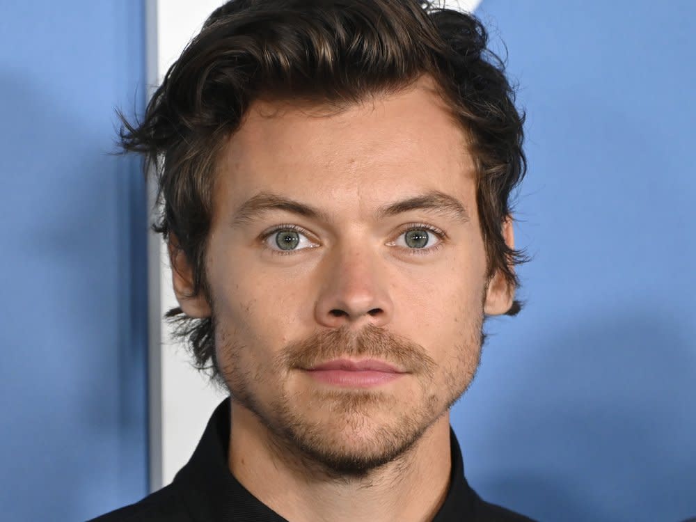 Harry Styles hat noch drei Termine in Brasilien. (Bild:  Featureflash Photo Agency/Shutterstock)