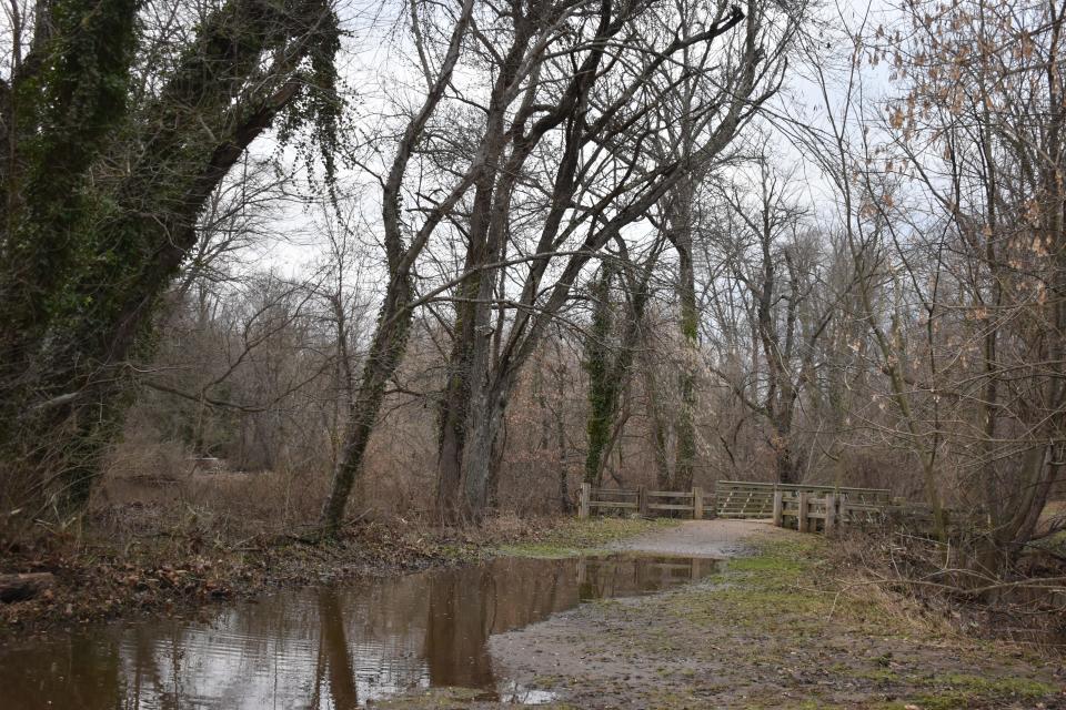 Flood waters from Cooper River submerge a path in Pennypacker Park, Cherry Hill, on Wednesday, Jan. 10.