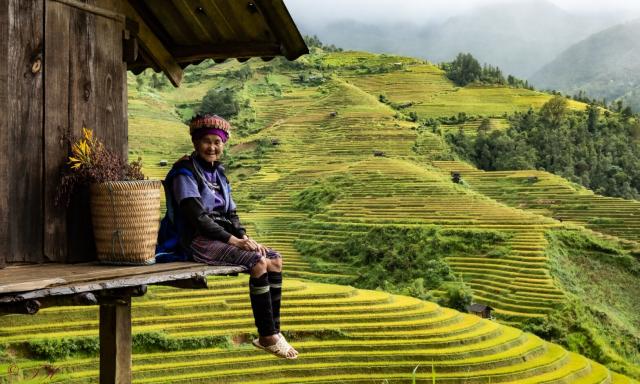 vietnam tourist movie netflix